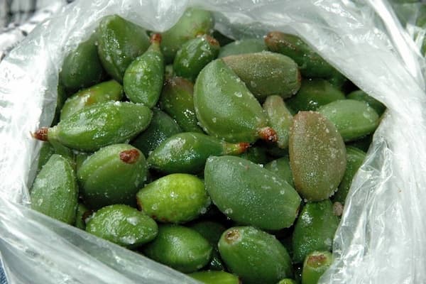 خرید و قیمت چغاله بادام تازه + فروش عمده